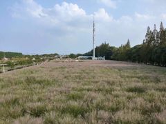 -嘉北郊野公园