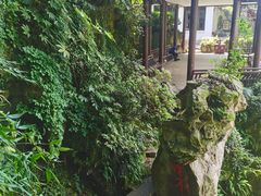 -杭州黄龙洞