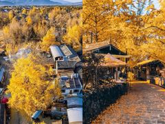 -塔川景区
