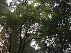 -采石矶景区