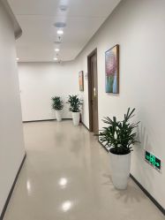 -丰联丽格医疗美容·联合丽格眼整形中心