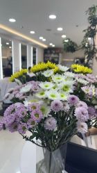 -HaLo hair studio