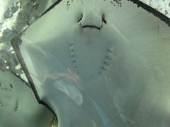 -大明湖海底世界