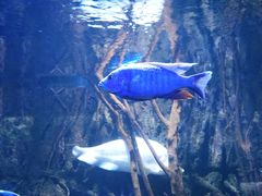 -华夏文旅海洋公园