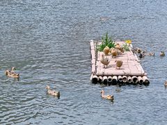 -野三坡清泉山风景区