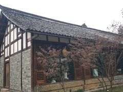 -秀丽东方