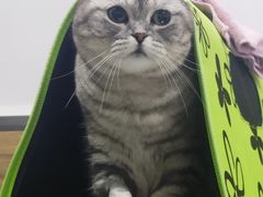 -爱侣宠医·鹦鹉专科·小型哺乳类·异宠专科(灵石路店)