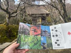 -常寂光寺