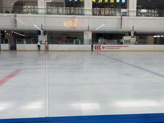 -炫采冰场(红博中央公园商场店)