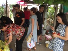 -马陆小张葡萄园农家乐