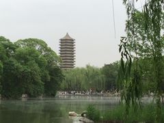 -农园餐厅(北京大学店)