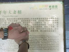 -呀诺达热带雨林