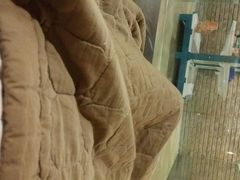 -绿岛汤泉韩式休闲会所