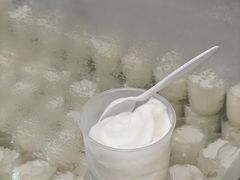 椰子雪糕-洪馨椰子