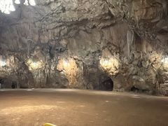 -波斯托伊纳溶洞