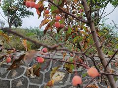 -公航旅麦积山明珠酒店