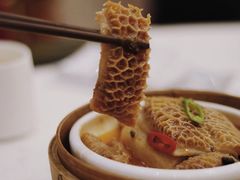 黑胡椒金钱肚-顺风海鲜港(长寿路店)