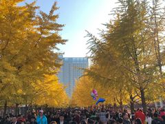 -辽宁大学(崇山校区)