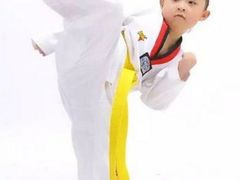 -陈中跆拳道(中关村馆)