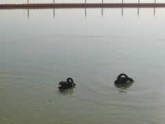 -天津东丽湖风景区