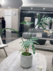 -上海首尔丽格医疗美容医院
