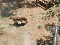 -昆明动物园