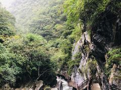 -武陵山森林公园