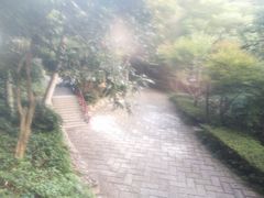 -宁海森林温泉