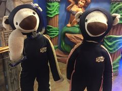 -济州岛泰迪熊博物馆