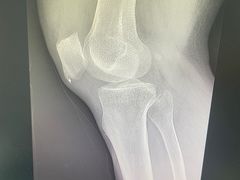 -上海安亭别墅花园酒店