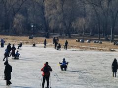 -长春市南湖公园