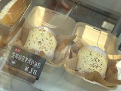 -面包日报