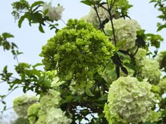 -大龙山(地铁站)