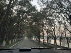-练塘古镇