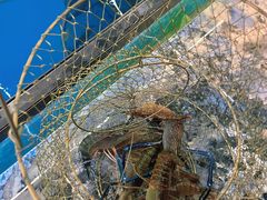 -SHRIMP CLUB万东餐饮钓虾·清吧