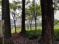 -文华公园(禅城区)