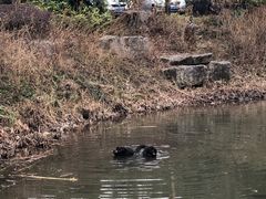 -天目湖涵田度假村