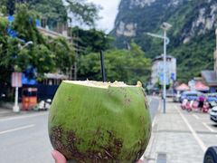 -大新明仕山庄