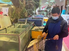 -稻香村鱼庄