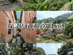 -杨家堂村