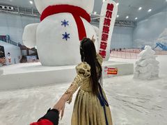 -哈尔滨热雪奇迹