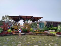 -上海长兴岛郊野公园