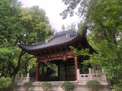 -汇龙潭