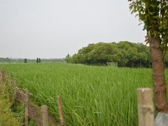 android_upload_pic-练塘古镇