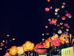 -淄博花灯齐彩城