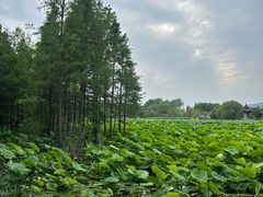 -云龙湖旅游景区