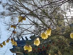 -月坛公园