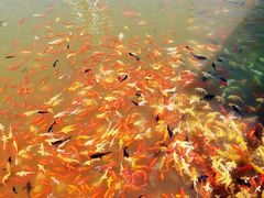 -海上明珠主题乐园