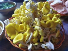 -仙蘑洞