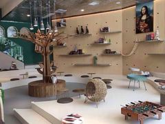 大堂-飞行喵MR PILOT|猫舍·猫咖(静安大融城店)